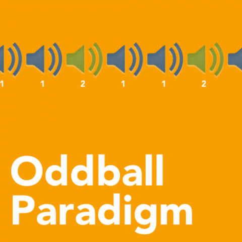 what is a visual-auditory oddball paradigm